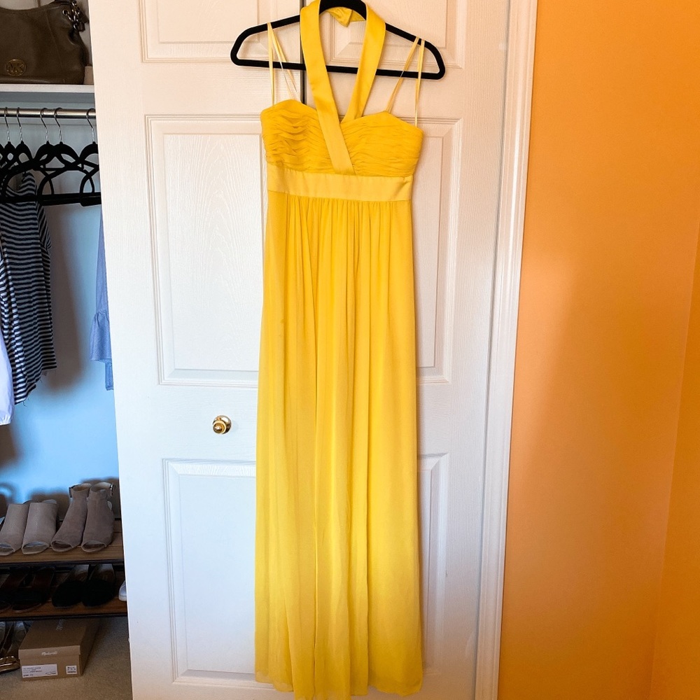 BCBG Maxi Dress